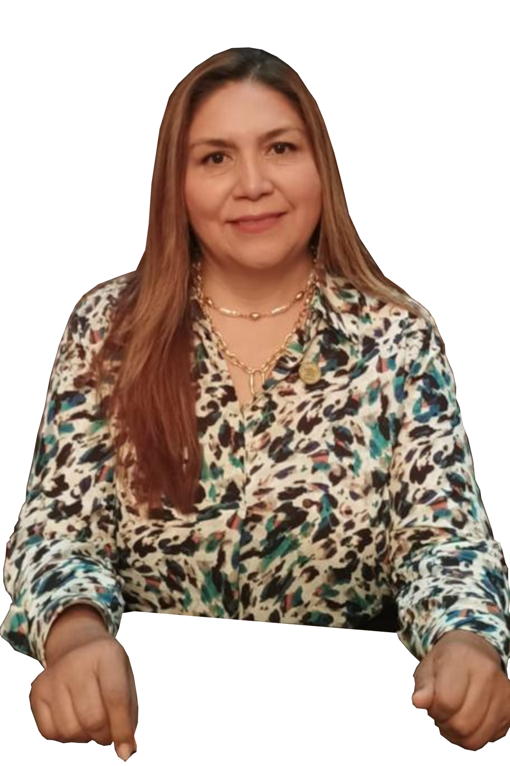 Presidenta del Consejo Directivo